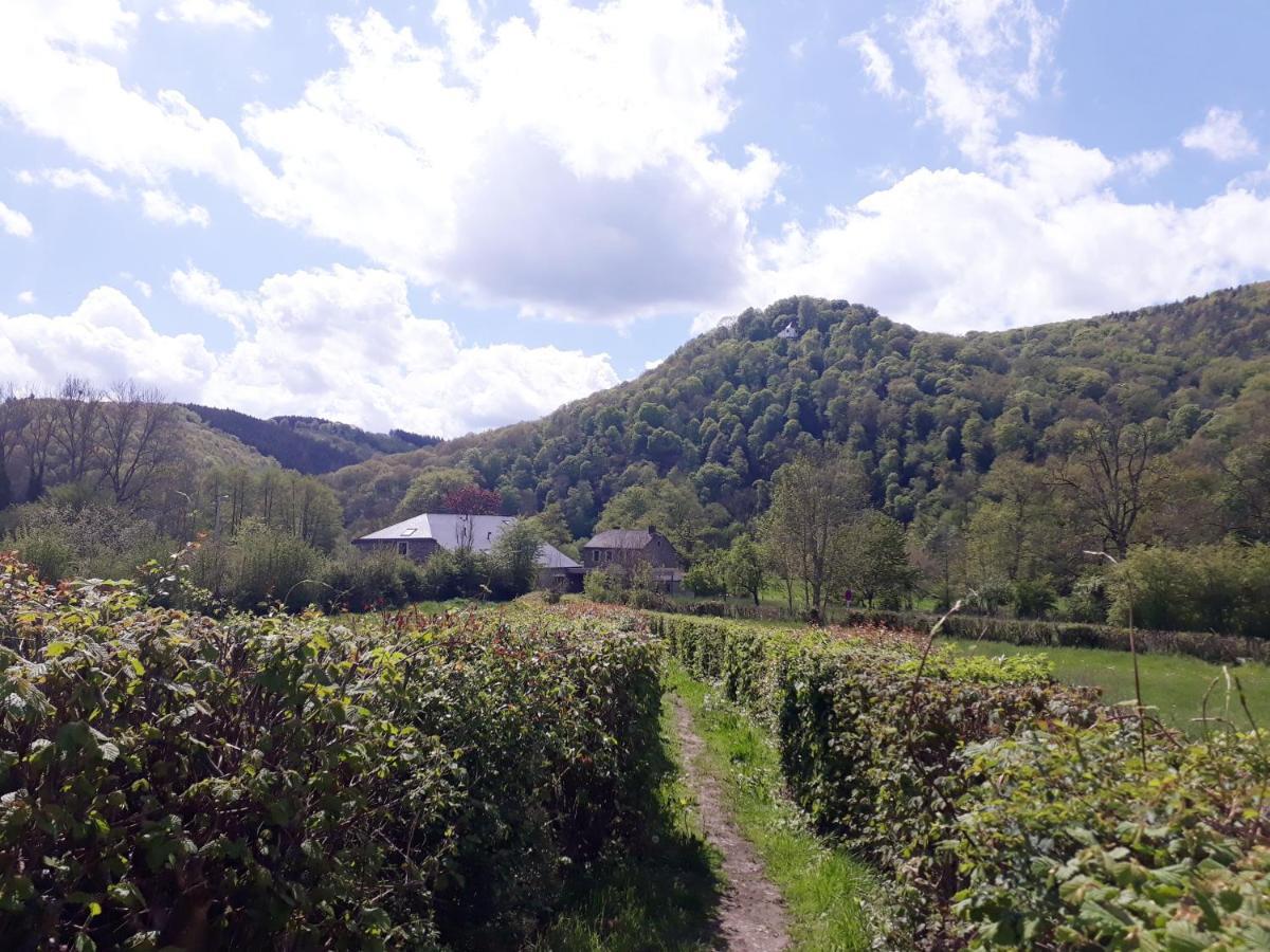 Bed&Breakfast Vallée de l'Ourthe Marcourt Esterno foto